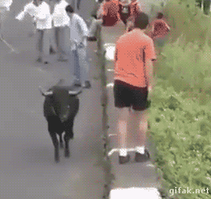 d57834070c0c4f580785a989a4e73ef2_tDnKXgw75PsroT4VdqPT2.gif