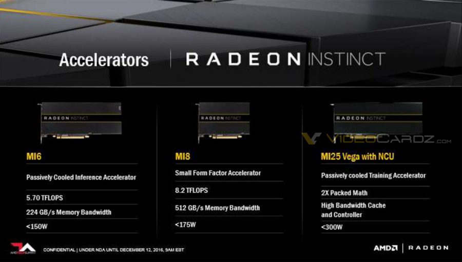 AMD-INSTINCT-VEGA-VideoCardz.com-5-900x511.jpg