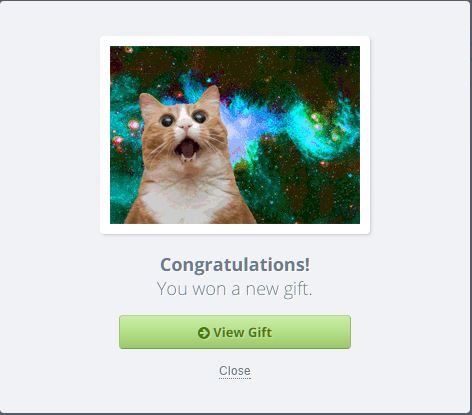2016-01-25-space cat.JPG