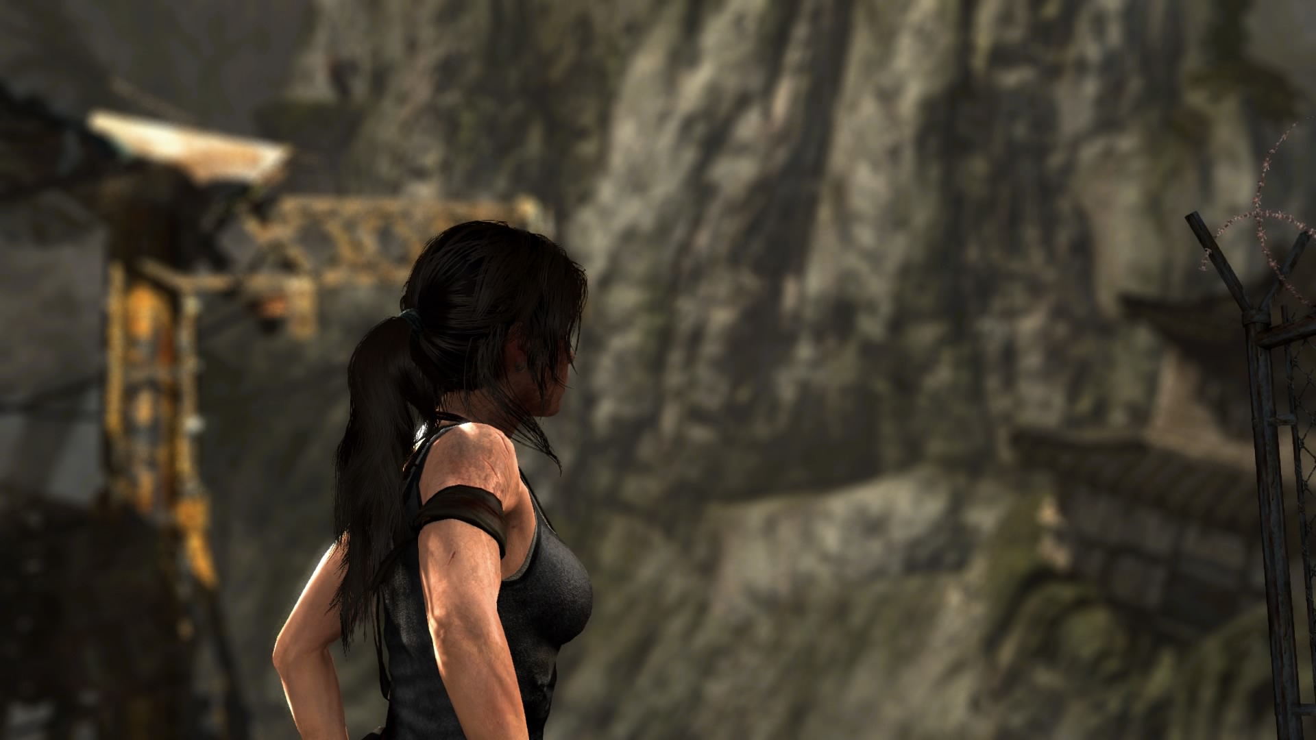 Tomb Raider_ Definitive Edition_27.jpg