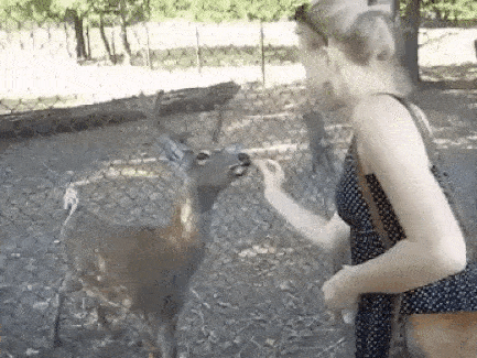 daily_gifdump_1010_28.gif