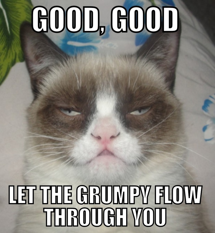 57a109e8_Grumpy-Cat-Good-1.jpeg