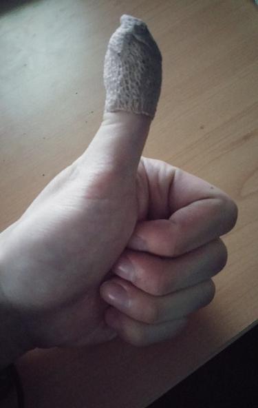 20151113_122804.JPG