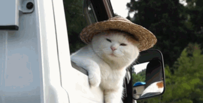 쯔쯔 에휴.gif