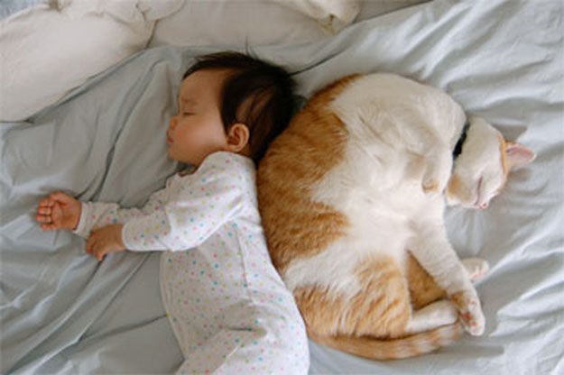 babies-and-cats-being-too-cute-10.jpg