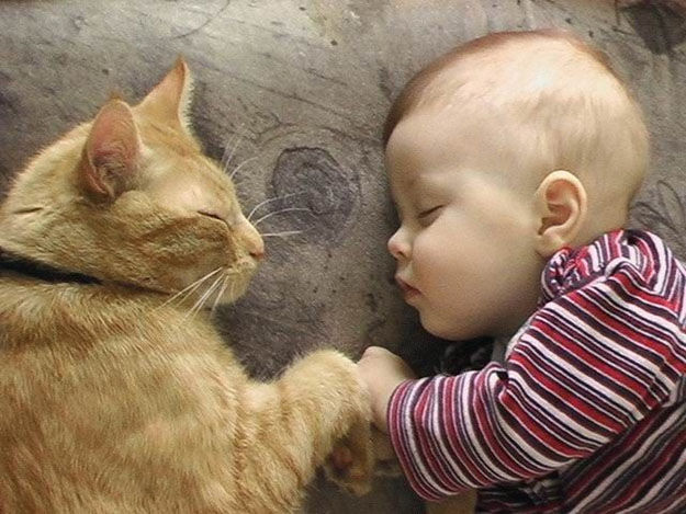 babies-and-cats-being-too-cute-13.jpg