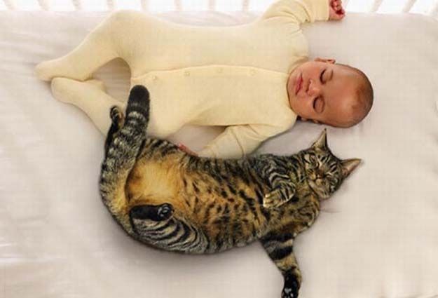 babies-and-cats-being-too-cute-1.jpg