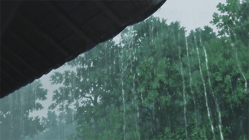 tumblr_mlmy3u1aD01qbudbro1_500.gif