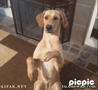 오스카상개.GIF
