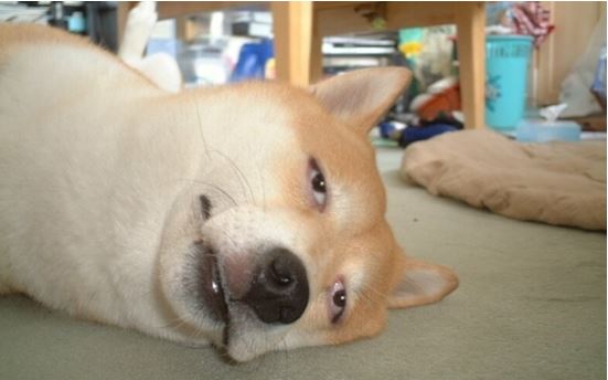 개무룩.JPG