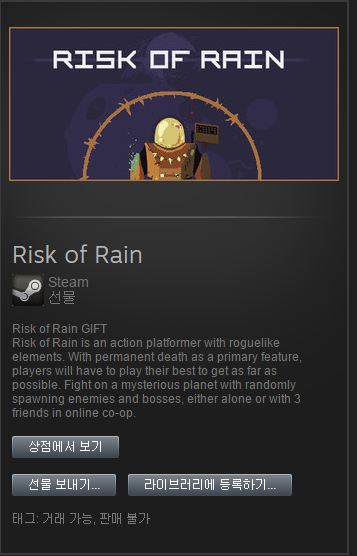 Risk of Rain.JPG