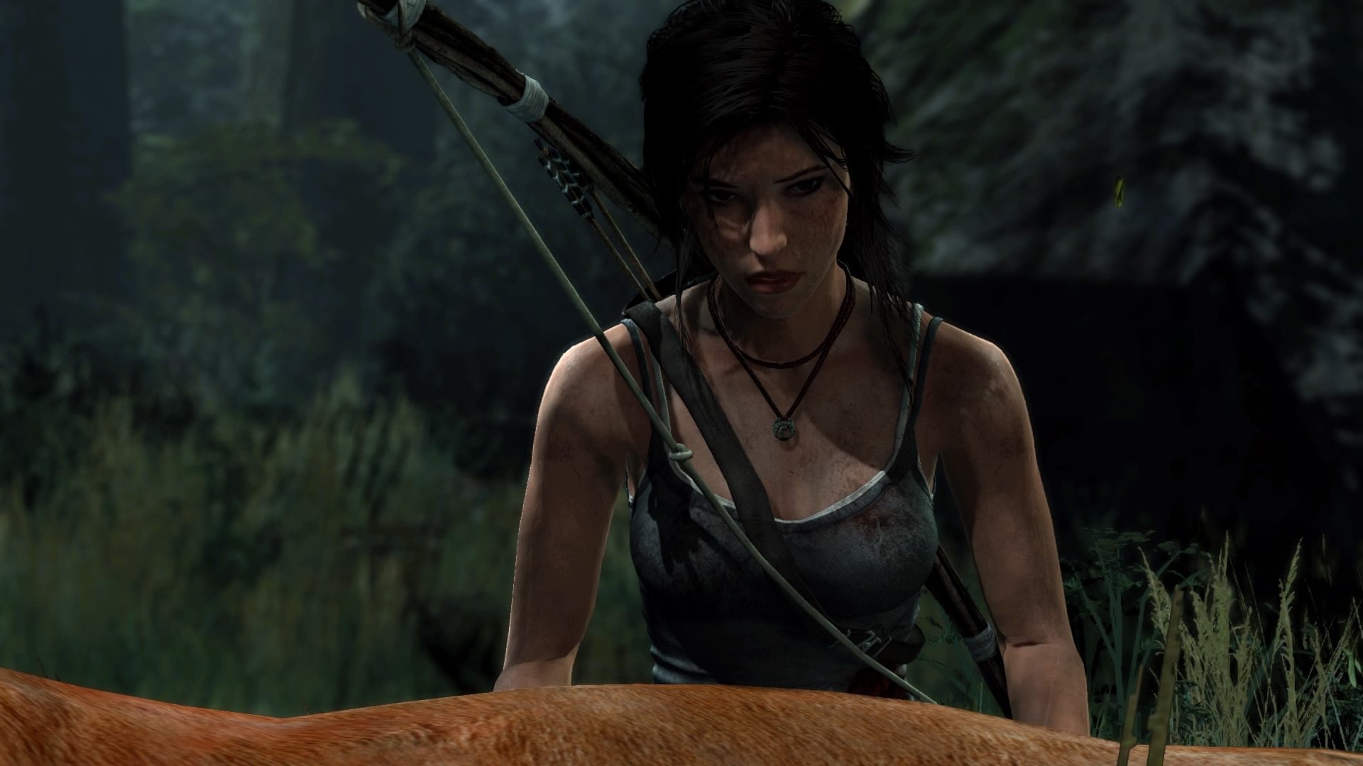 Tomb Raider_ Definitive Edition_115.jpg