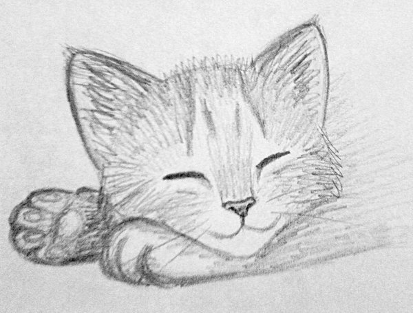 kitten_sketch_3_by_kritina-d48n0rs.jpg