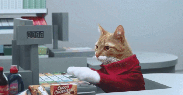 cashier-cat.gif
