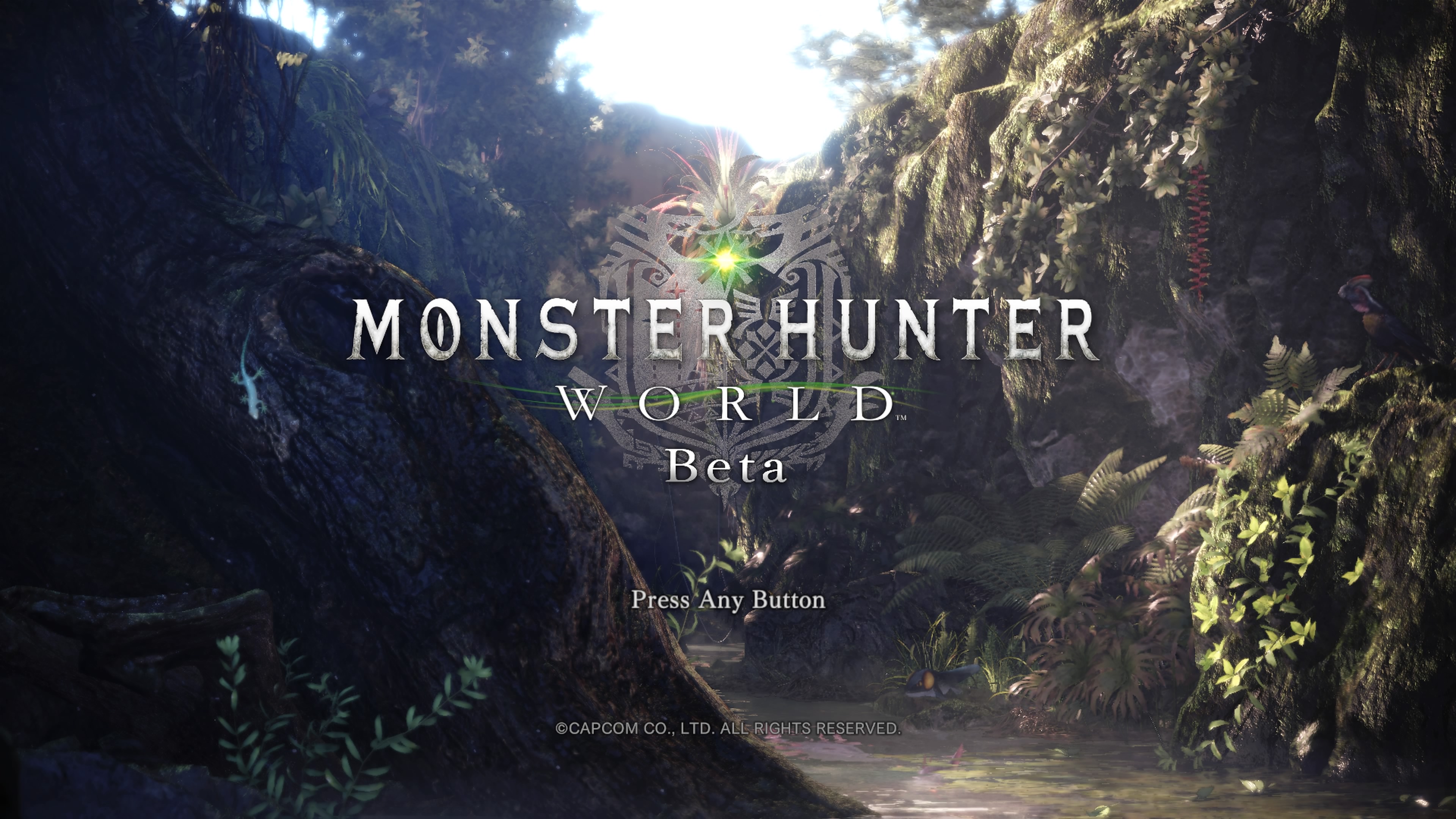 Monster Hunter_ World Beta_20171209104448.jpg