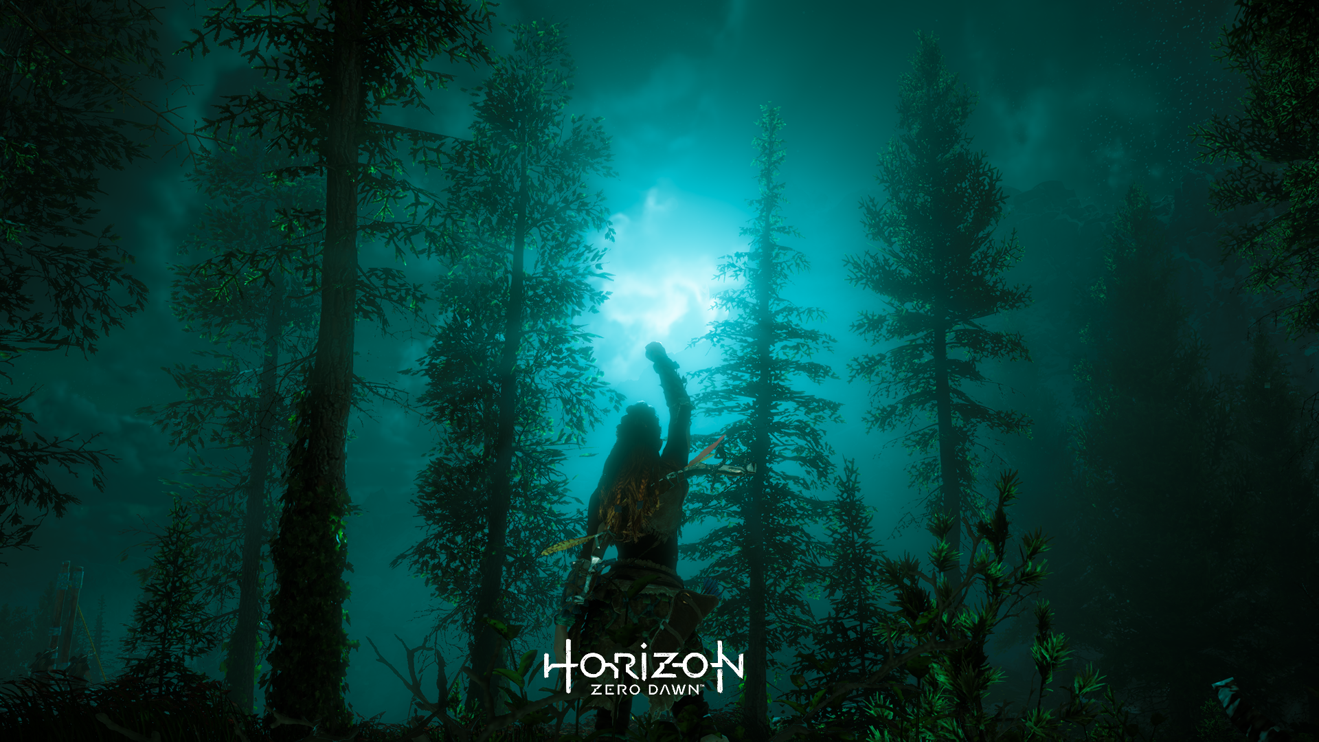 Horizon Zero Dawn™_20170511025301.png
