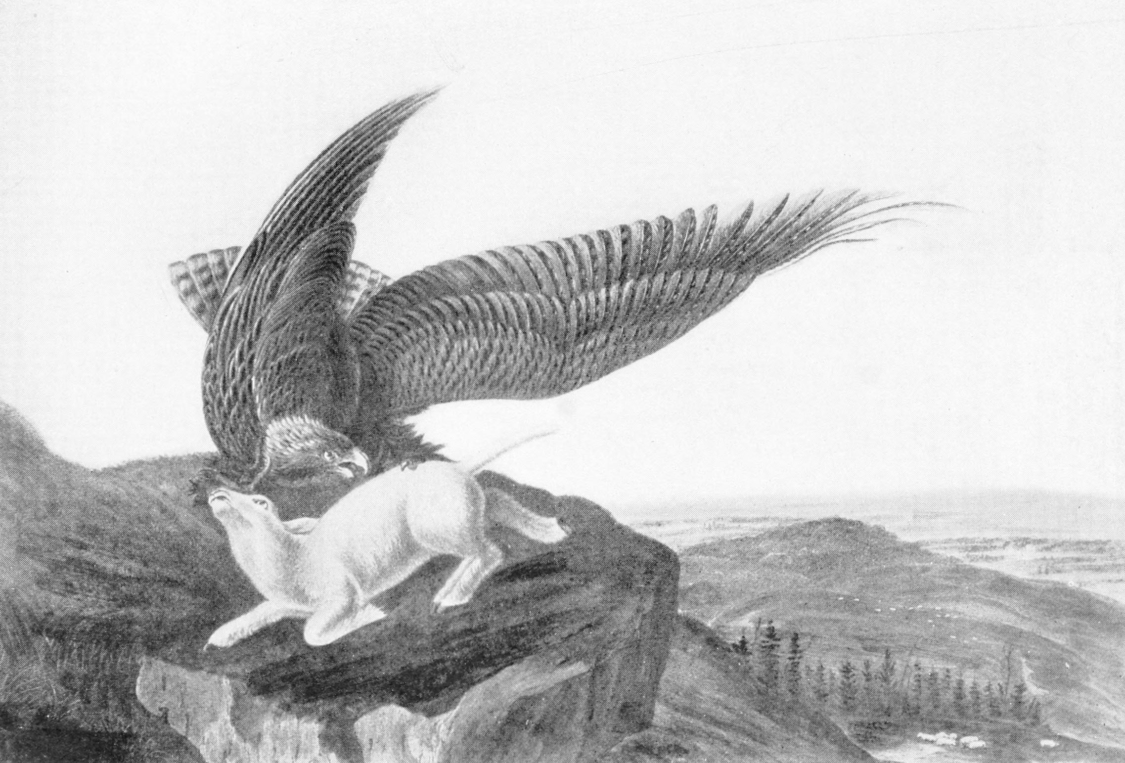 Eagle_and_Lamb_-_James_Audubon.jpg