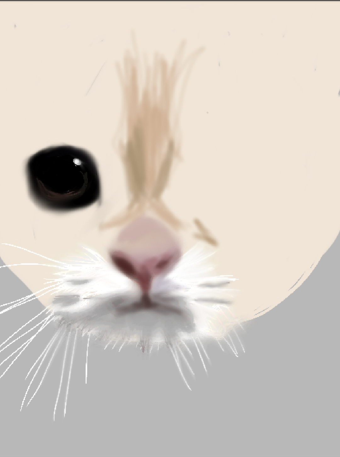 고양이001 (20140711-015159)-1.png : 거의 완성되어가는 고양이그림! (Feat. G프로2)