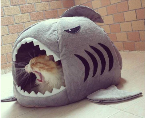 수정됨_Pet-Products-Warm-Soft-Cat-House-Pet-Sleeping-Bag-Shark-Dog-Kennel-Cat-Bed-Size-S.jpg