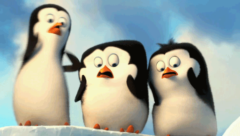 The-Penguins-Of-Madagascar-91091.gif
