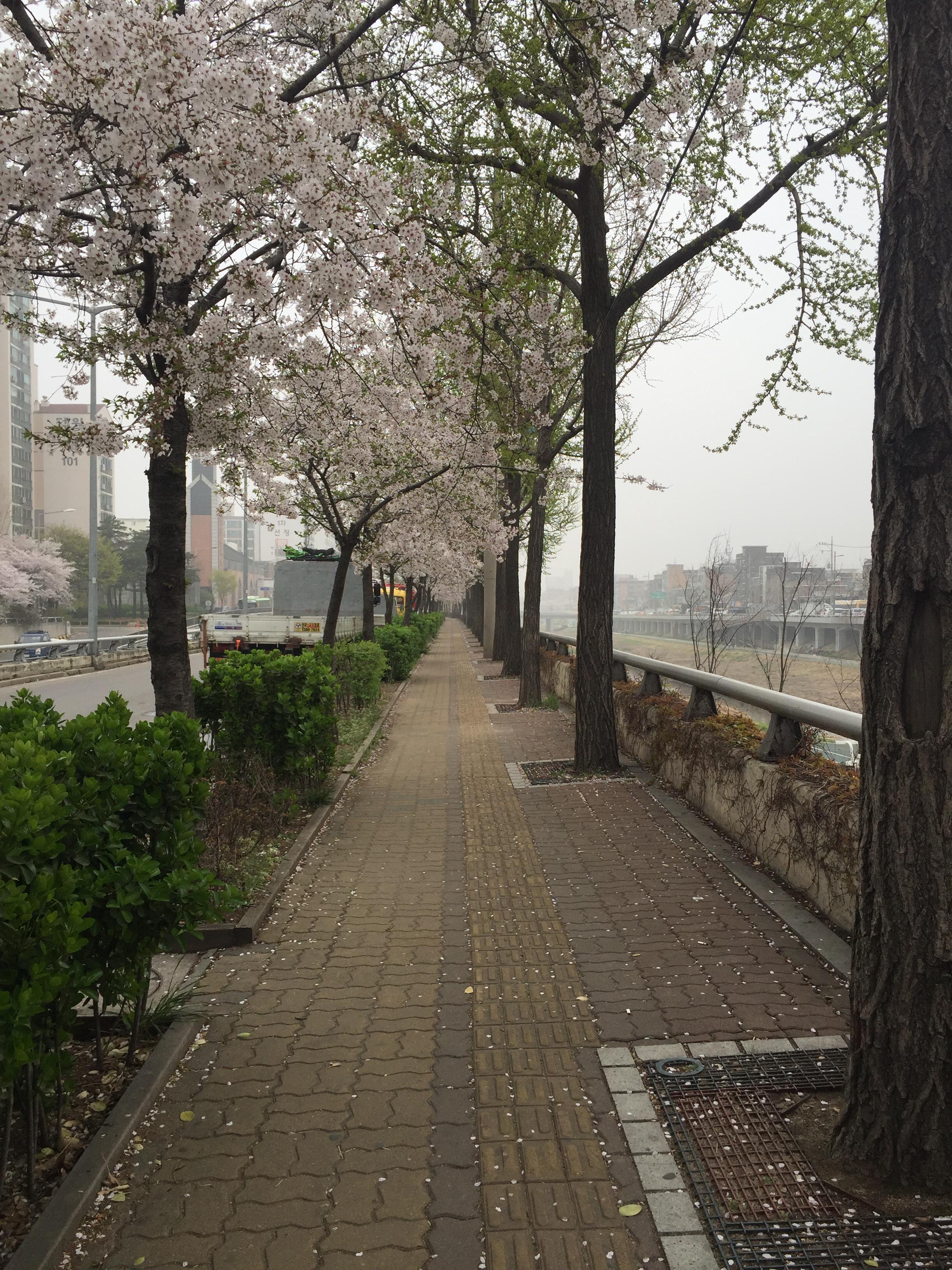 image.jpeg : 날씨가 별로 좋지 않네요 ㅠㅠ