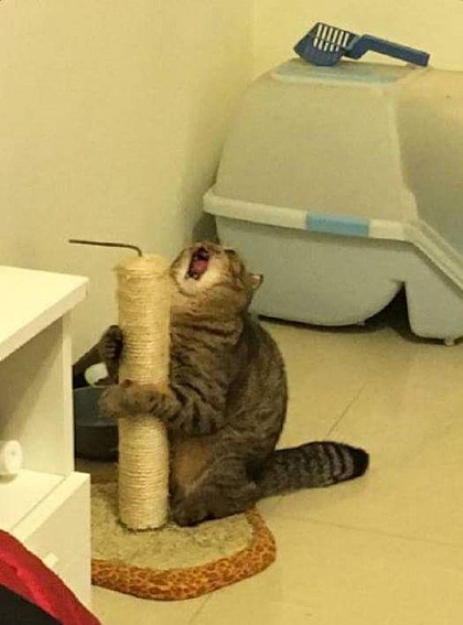 79613002.jpeg : 철거민.jpg